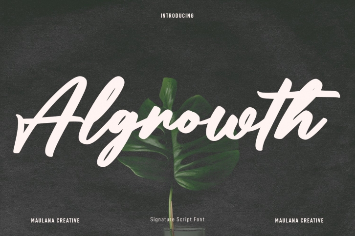 Algrowth Script Font Download