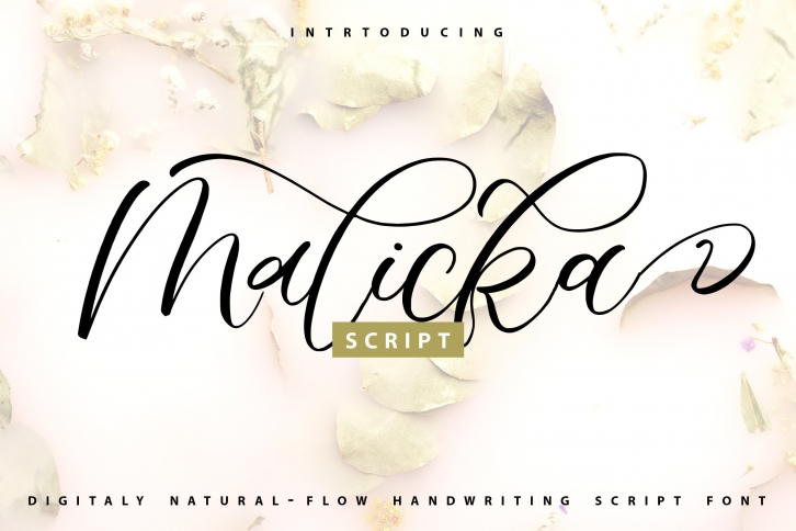 Malicka Font Download