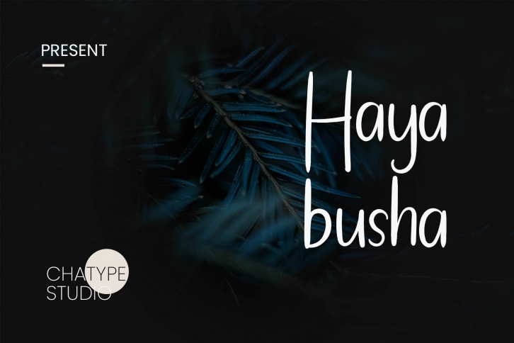 Hayabusha Font Download