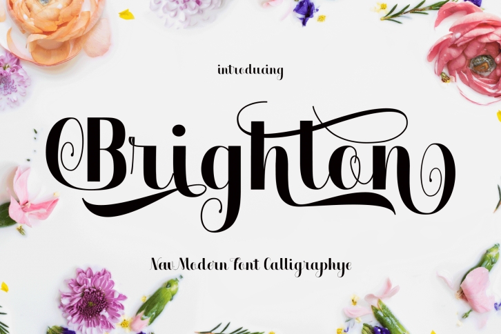 Brighton Font Download