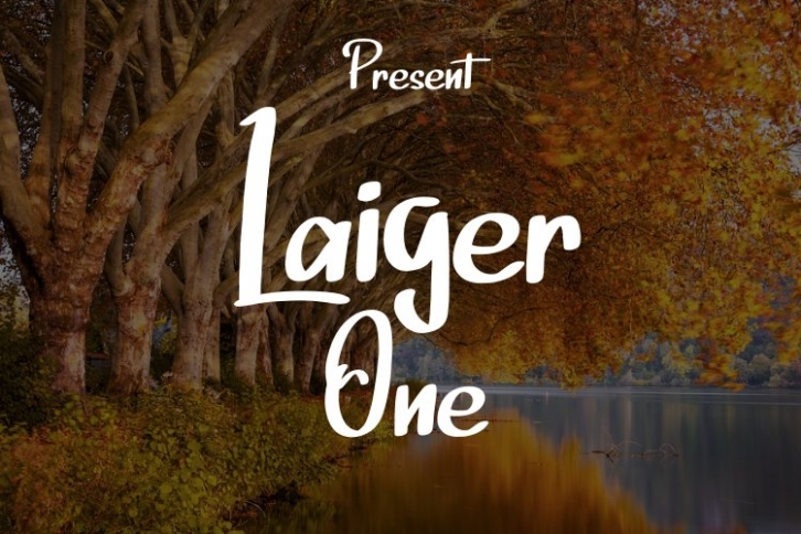 Laiger One Font Download