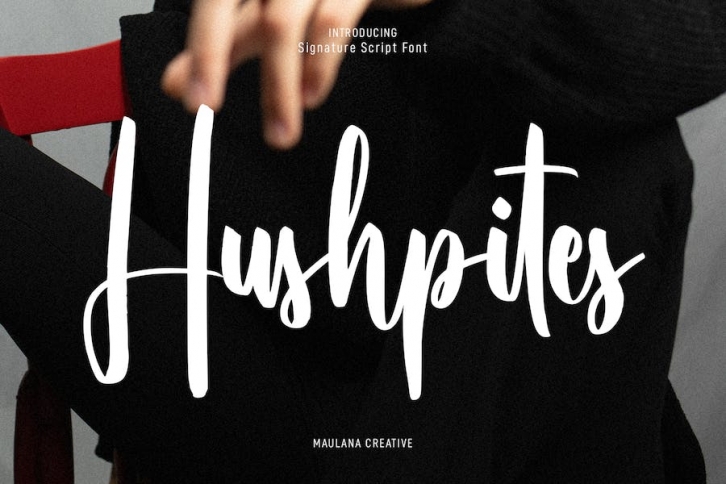 Hushpites Condensed Script Font Font Download