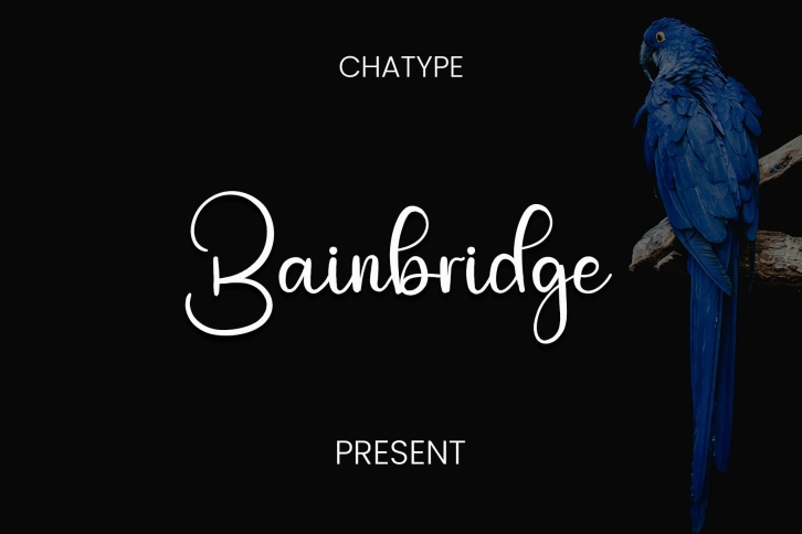 Bainbridge Font Download