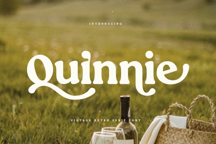 Quinnie - Vintage Retro Serif Font Font Download