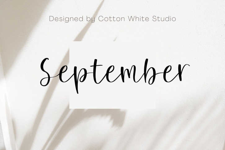 September Elegant Script Font Download
