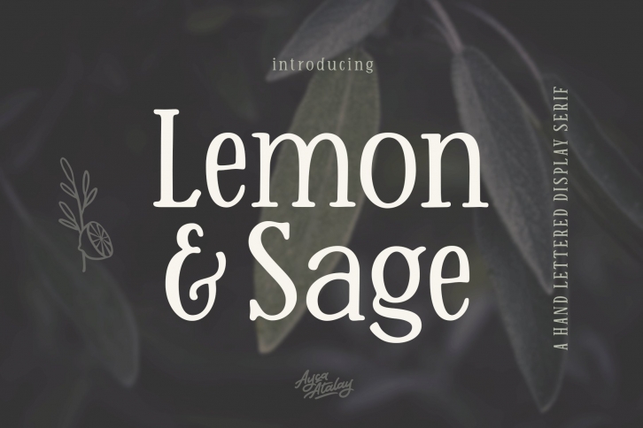 Lemon And Sage Font Download