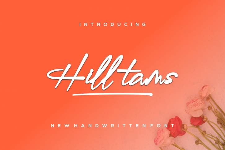 Hilltams Font Download