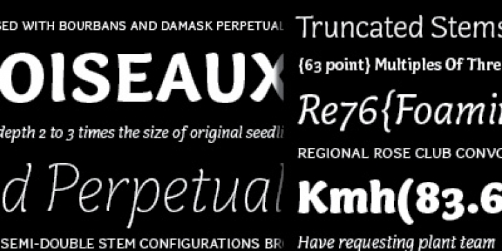 Capucine Font Download