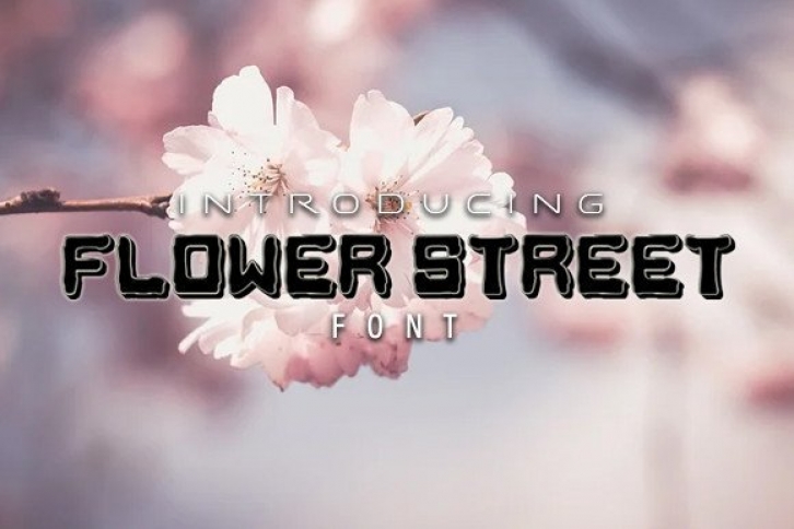 Flower Street Font Download