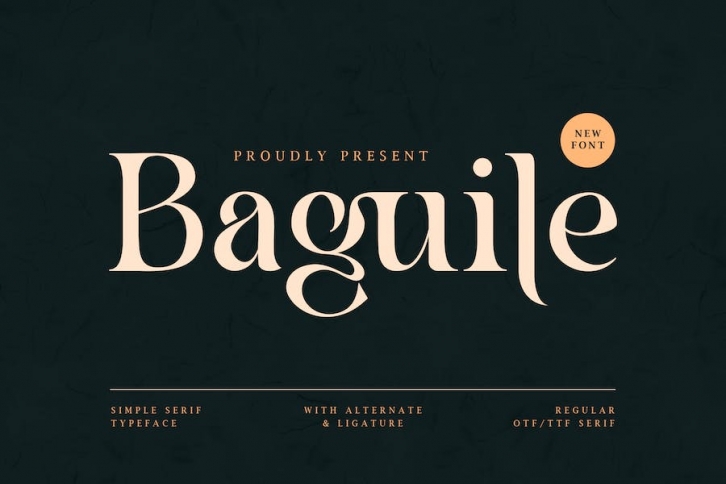 Baguile - Simple Serif Typeface Font Download