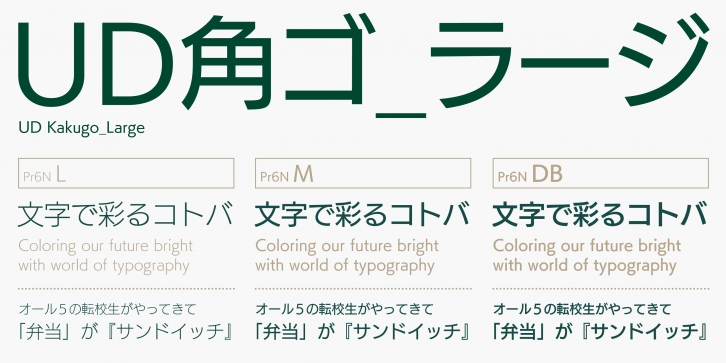 FOT-UDKakugo Large Pr6N Font Download