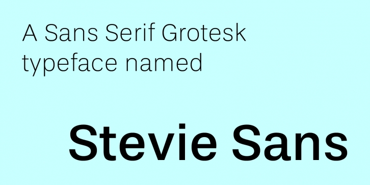 Stevie Sans Font Download