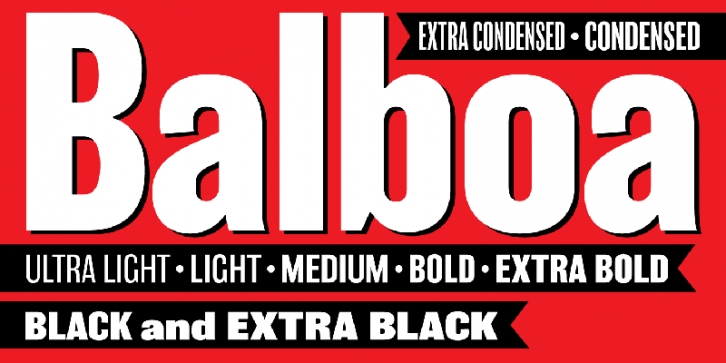 Balboa Font Download