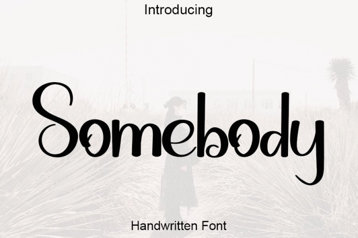 Somebody Font Download