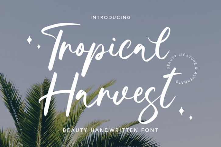 Tropical Harvest Font Download