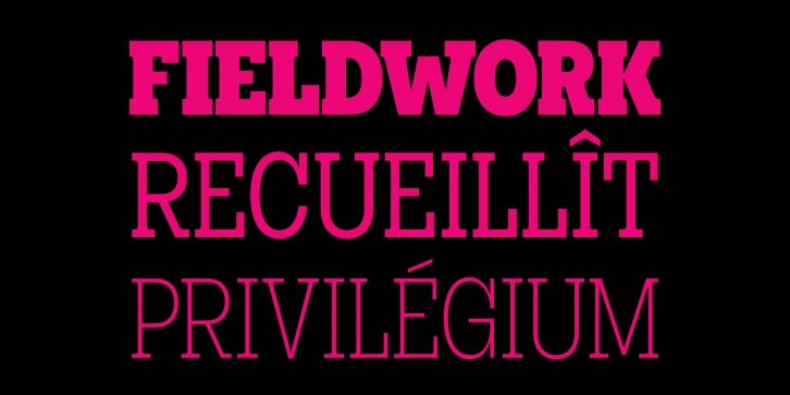 Elizeth Condensed Font Download