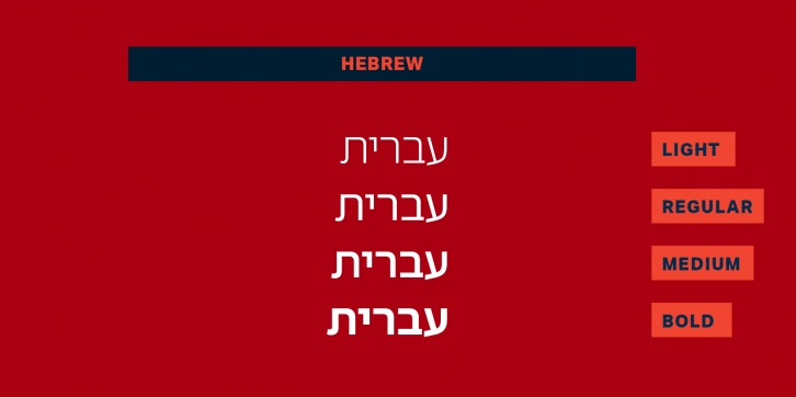 Aktiv Grotesk Hebrew Font Download