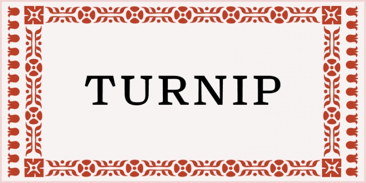 Turnip Font Download