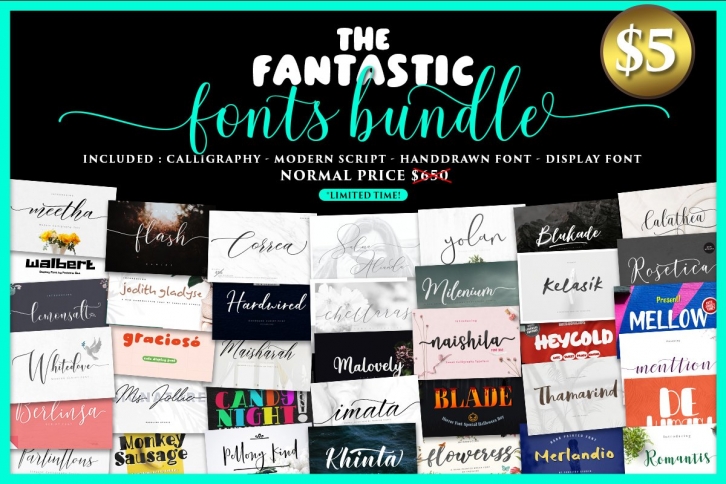 The Fantastic s Bundle Font Download