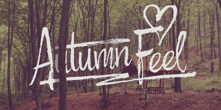 Autumn Feel Font Download
