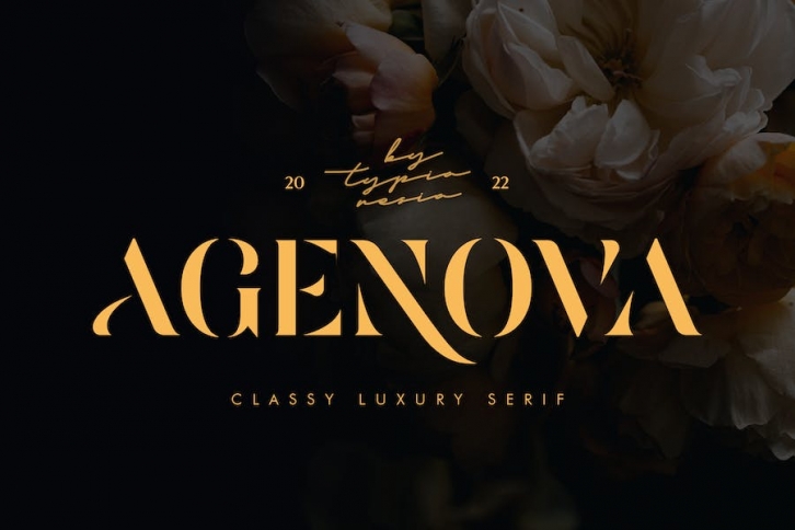 Agenova - Modern Luxury Bold Stencil Serif Font Download