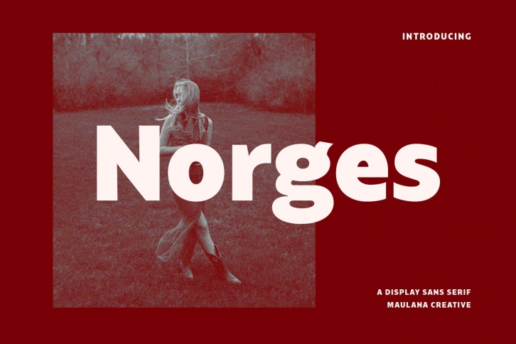 Norges Sans Serif Font Download