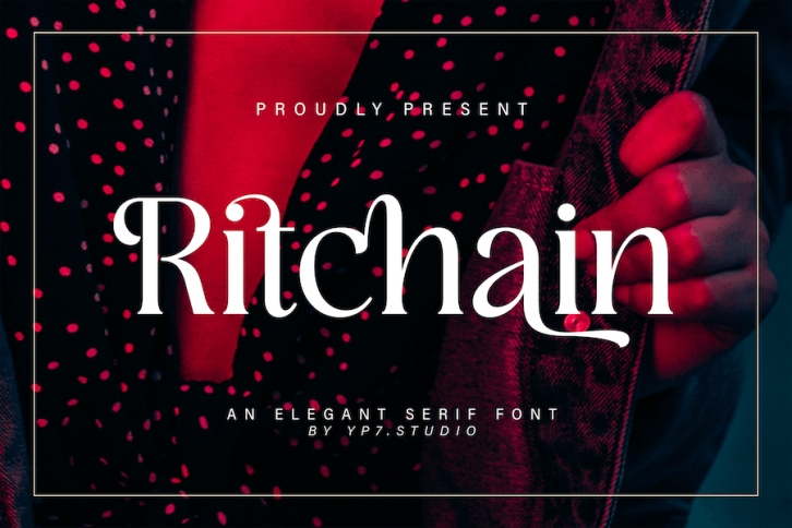 Elegant Serif Font Font Download