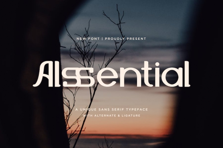 Alssential - A Unique Sans Serif Typeface Font Download