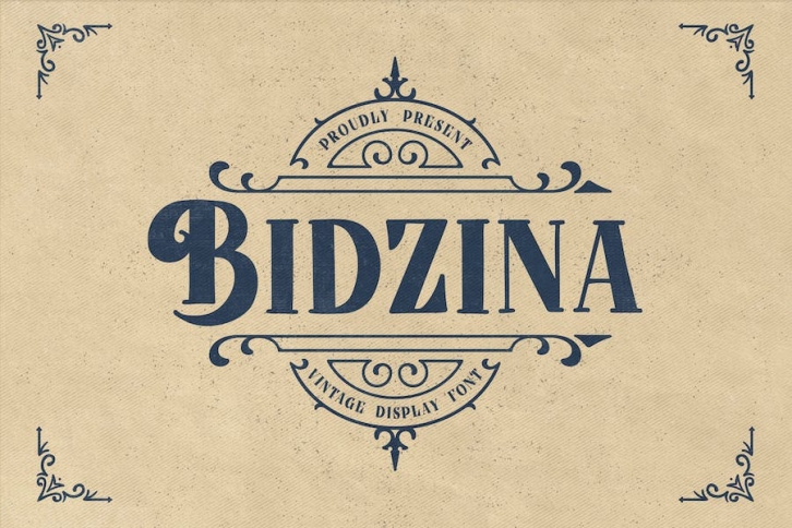 Bidzina - Vintage Display Font Font Download