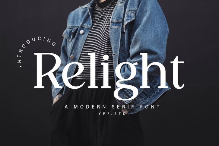 Modern Serif Font Font Download