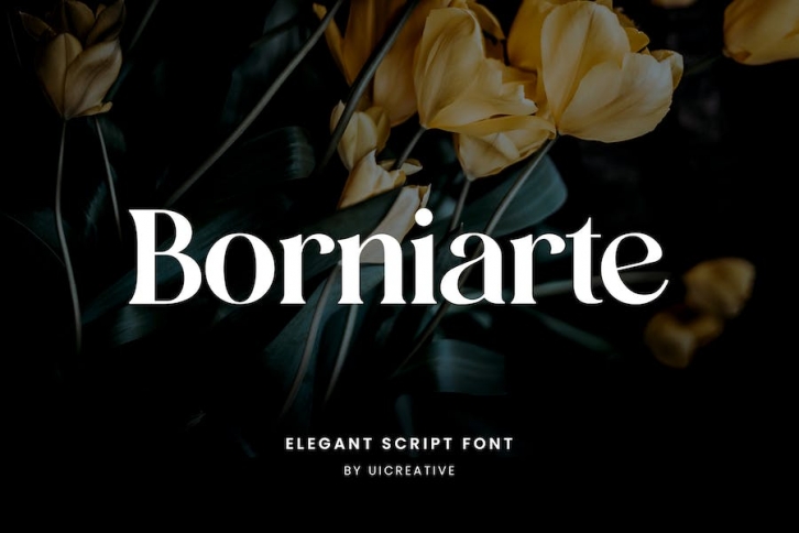 Borniarte Elegant Serif Font Font Download