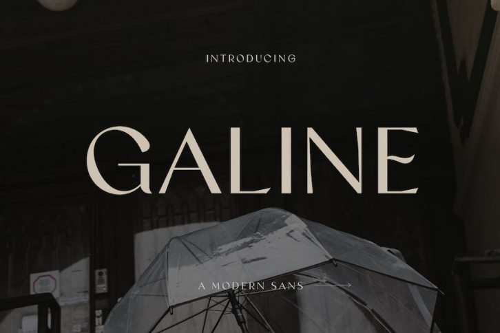 Galine Modern Luxury Font Font Download
