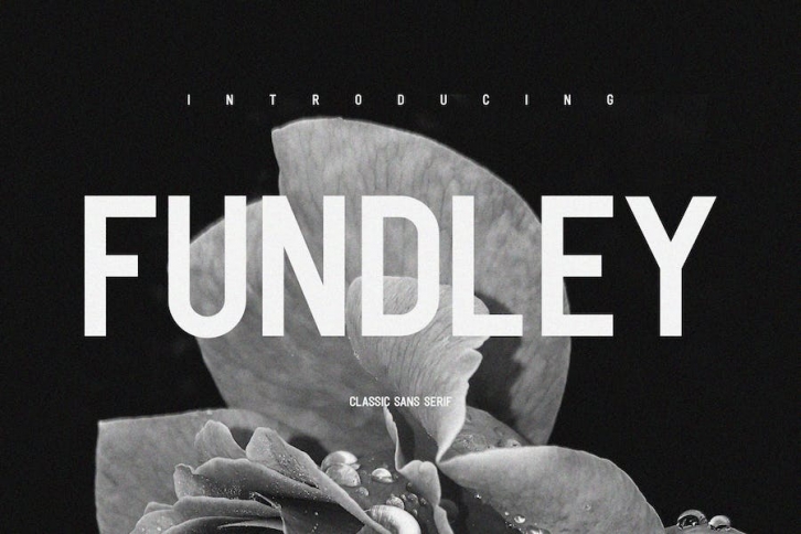 Fundley Font Font Download
