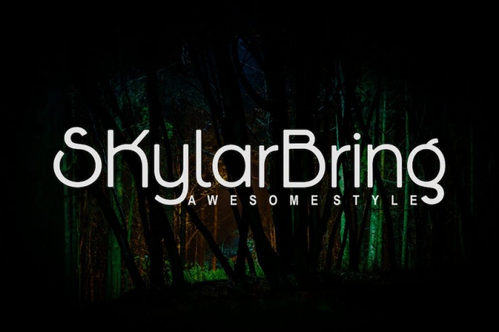 Skilar Bring - Sans Font Font Download