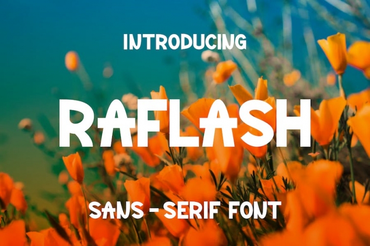 Raflash font Font Download
