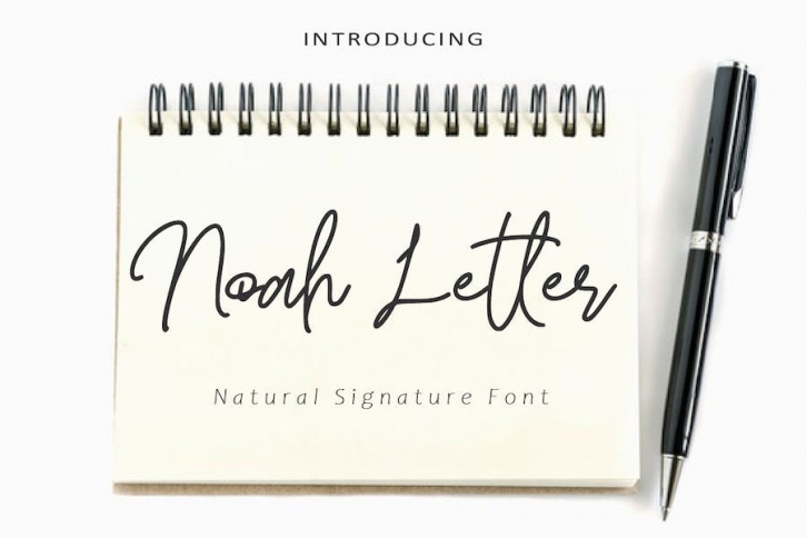 Noah Letter -  Modern Signature AM Font Download