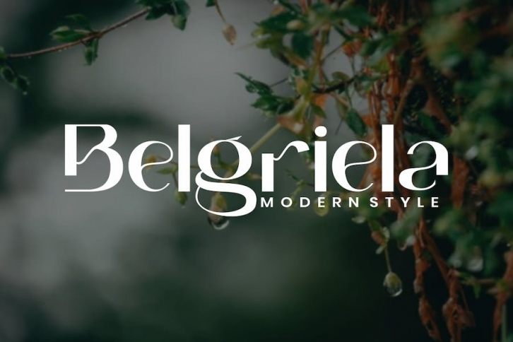 Belgriela - Serif Font Font Download