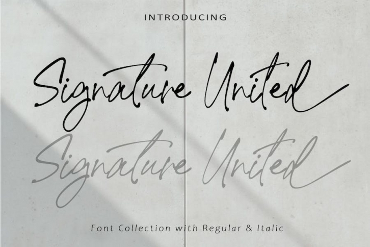 Signature United -  Signature AM Font Download