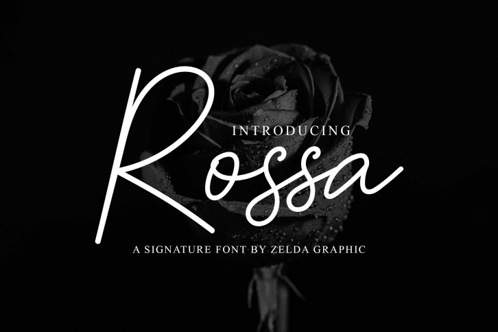 Rossa Font Download