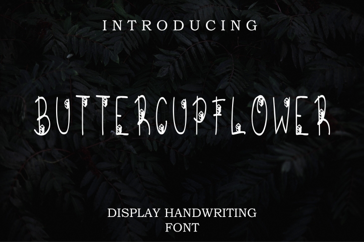 Buttercup Flower Font Download
