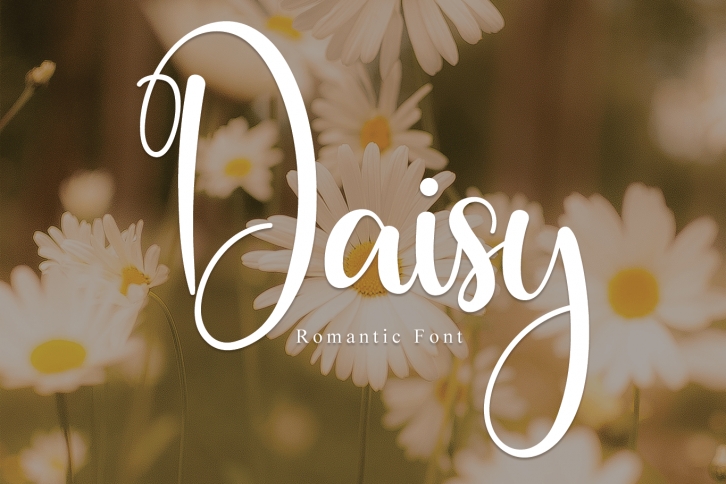 Daisy Font Download