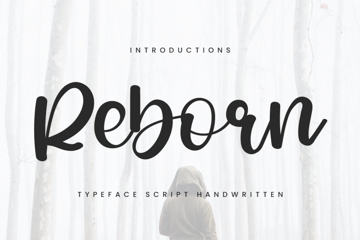 Reborn Font Download