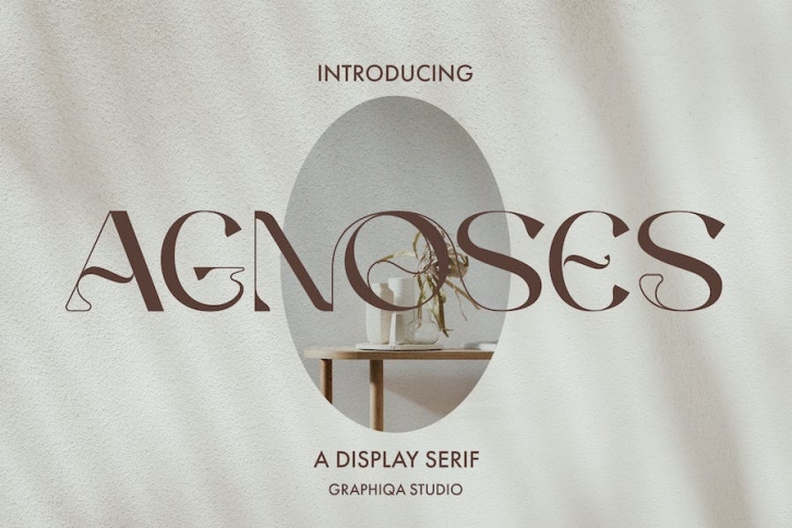 Agnoses - Display Serif Font Download