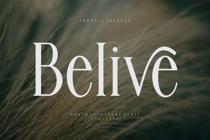 Belive Modern Ligature Serif Typeface Font Download