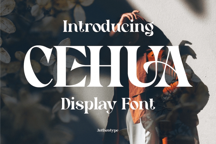 Cehua – Elegant Display Font Font Download