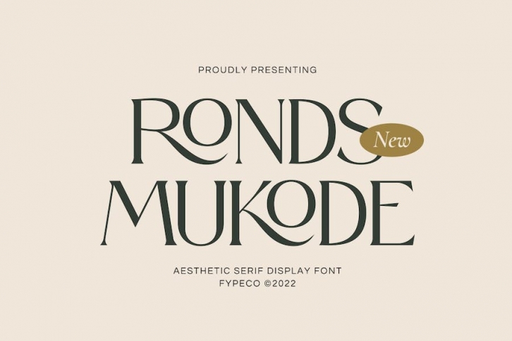 Ronds Mukode-Aesthetic Serif Font Font Download