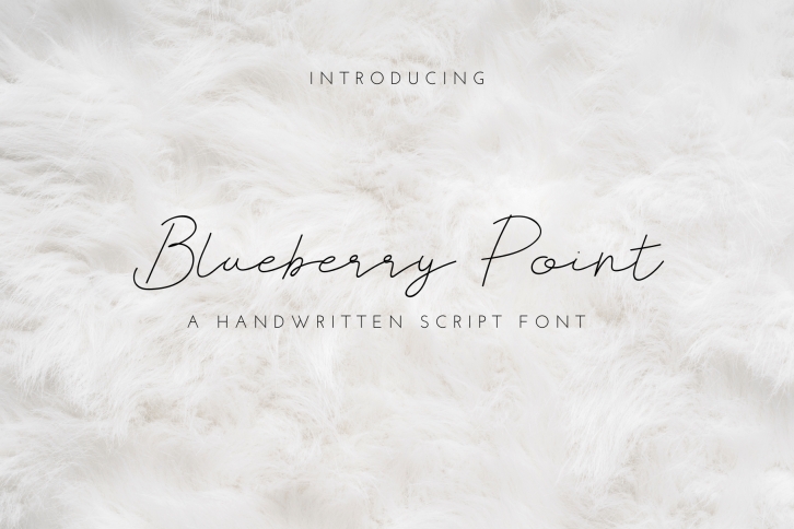Blueberry Point Font Download