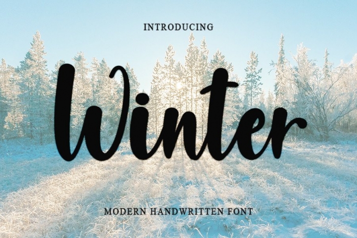 Winter Font Download