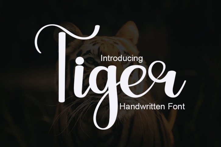 Tiger Font Download