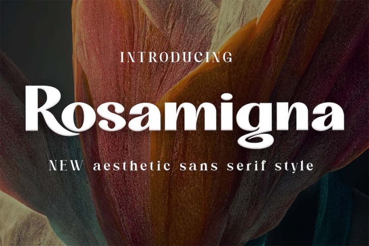 Rosamigna - Sans Serif Font Font Download
